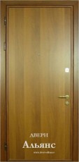Дверь наружная металлическая ламинированная -  ДН 99: 15 000 руб.