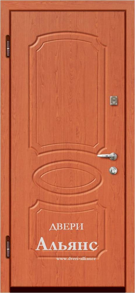 Дверь на улицу для частного дома -  УЛ 106
