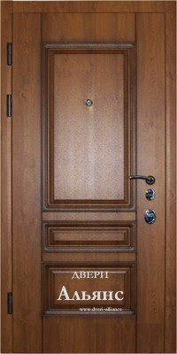 Дверь с массивом в дом из бруса -  ДМС 48