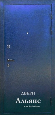 Металлическая дверь с порошковым покрытием на дачу -  ДП 25