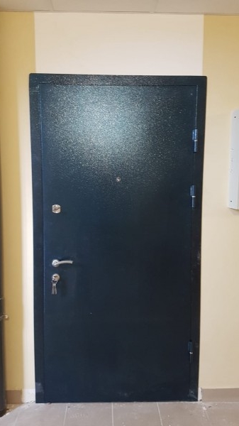 Как правильно выбрать входную дверь в квартиру?